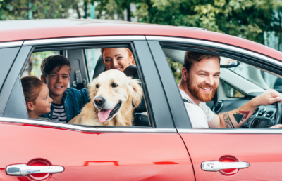 Compare Car Insurance